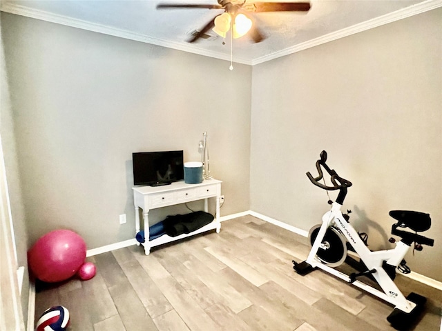 exercise room featuring hardwood / wood-style flooring, ceiling fan, and ornamental molding