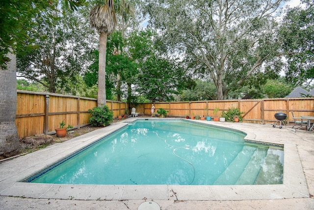 view of swimming pool