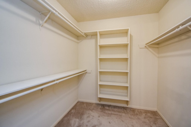 walk in closet with carpet floors