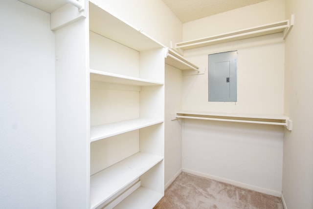 walk in closet with light colored carpet and electric panel