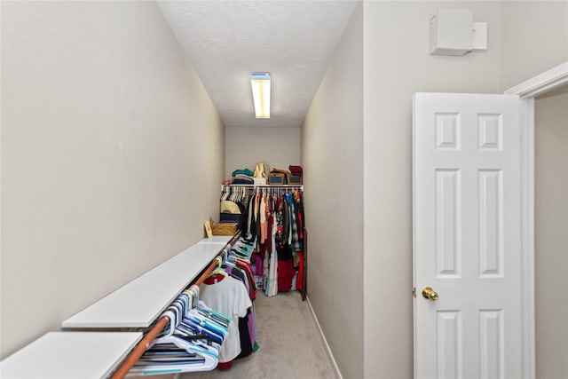 walk in closet featuring light carpet