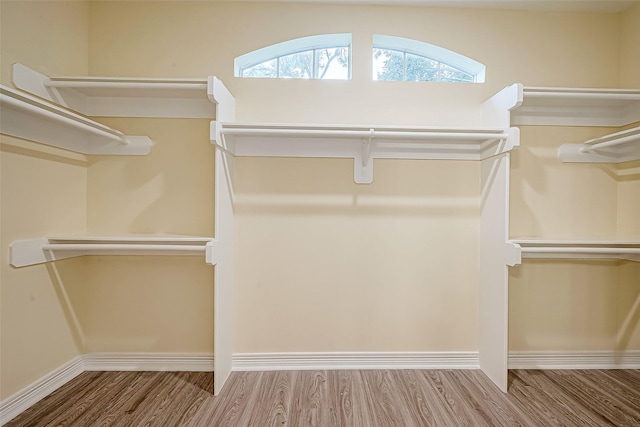 spacious closet with hardwood / wood-style flooring