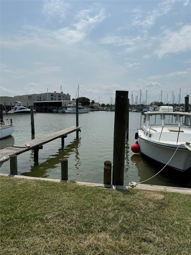 dock area with a water view