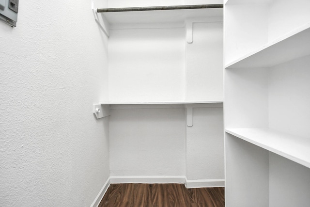 spacious closet with dark hardwood / wood-style floors