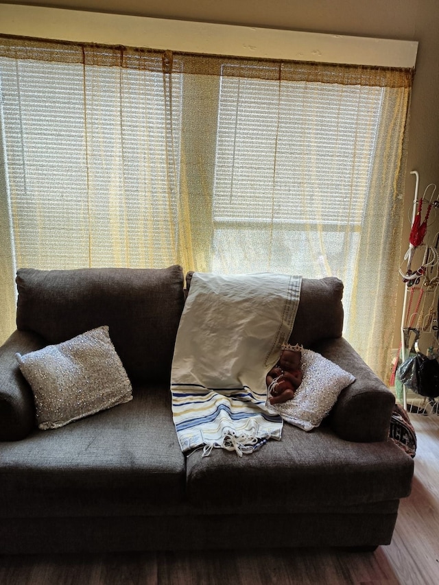 living room with hardwood / wood-style floors