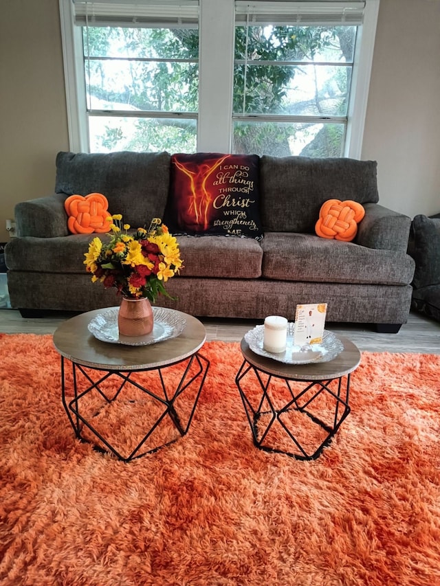 living room with hardwood / wood-style flooring