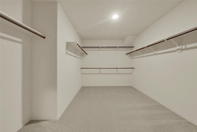 walk in closet featuring carpet