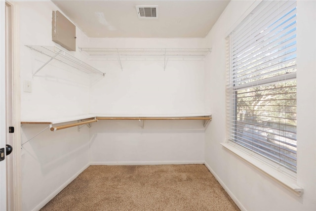 spacious closet with carpet