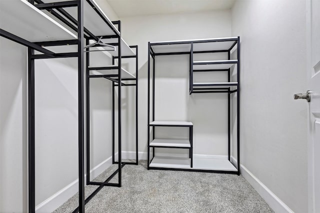 spacious closet featuring light colored carpet