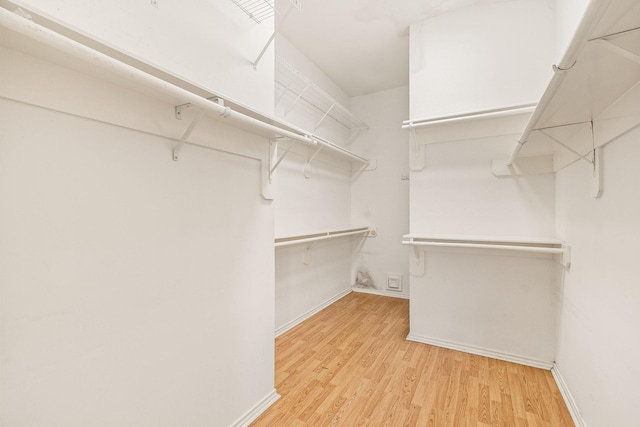 walk in closet featuring light hardwood / wood-style floors