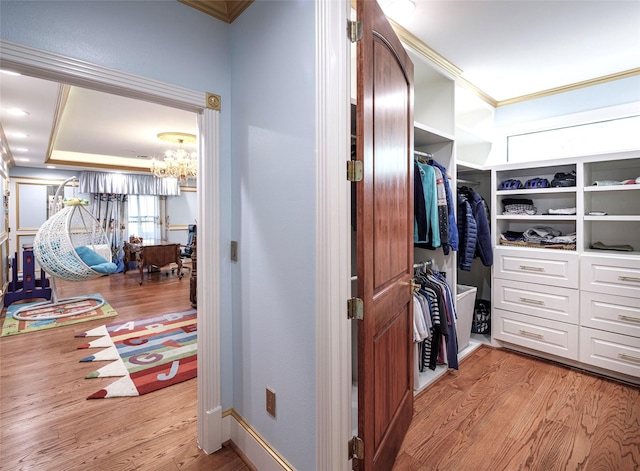 walk in closet with light hardwood / wood-style floors and a tray ceiling