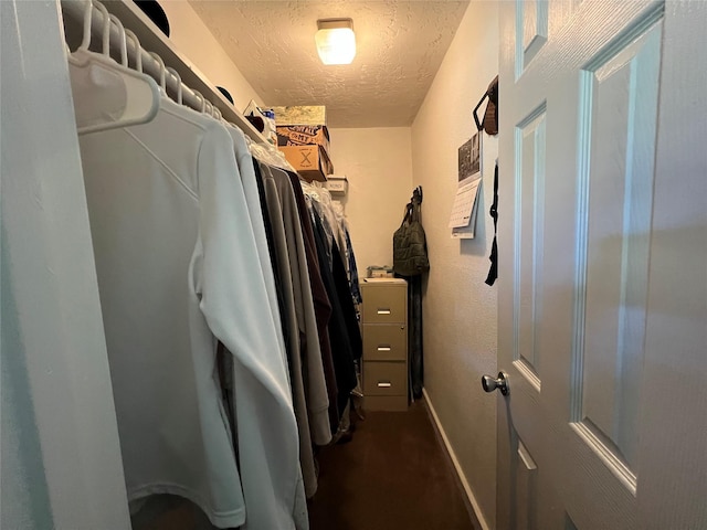 view of walk in closet