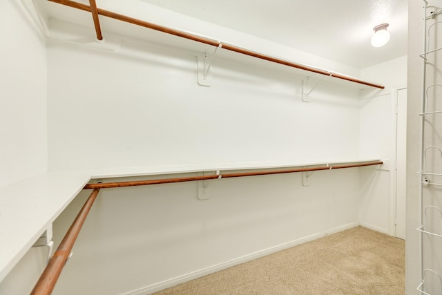 walk in closet featuring light colored carpet