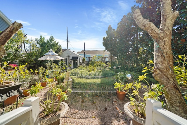 1107 Church St, Galveston, TX 77550 - view of yard