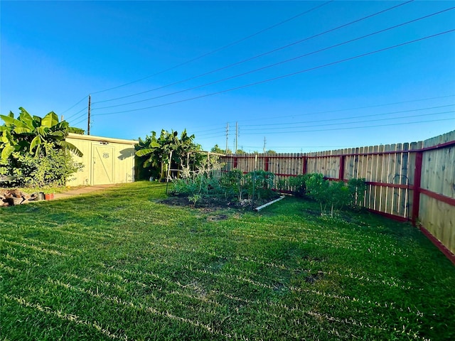 view of yard featuring a storage unit