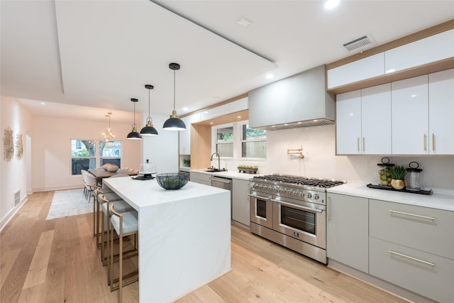 kitchen with white cabinets, appliances with stainless steel finishes, premium range hood, and a kitchen island