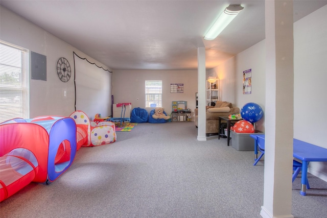 rec room featuring carpet and electric panel