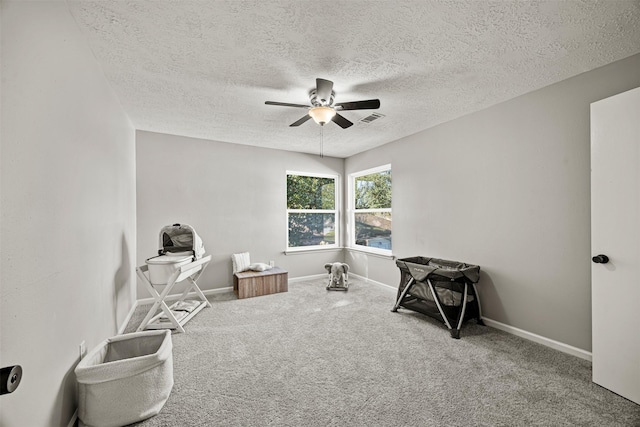 interior space with carpet flooring, ceiling fan, and a textured ceiling