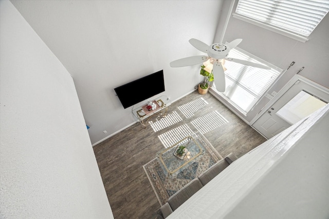 living room featuring dark wood-type flooring and a high ceiling