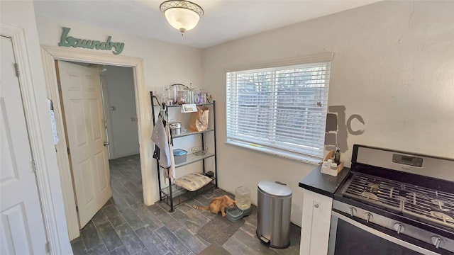 interior space featuring stainless steel stove