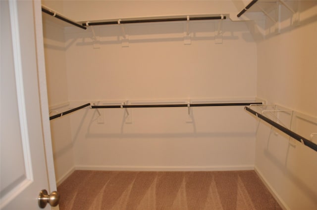 spacious closet with light carpet