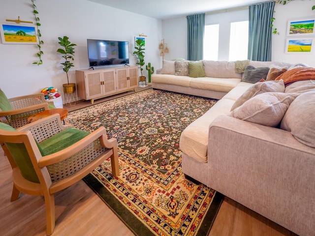 living area featuring wood finished floors