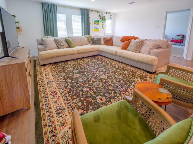 living room with wood finished floors