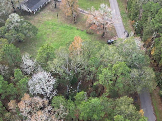 3307 Hamilton Cir, Conroe, TX 77304