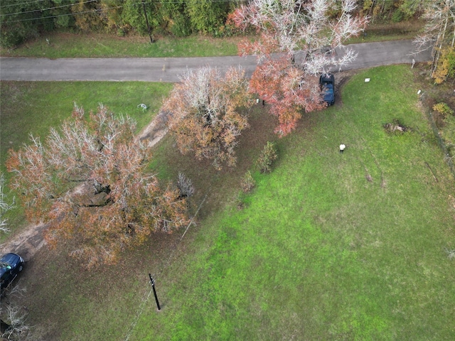 3307 Hamilton Cir, Conroe, TX 77304