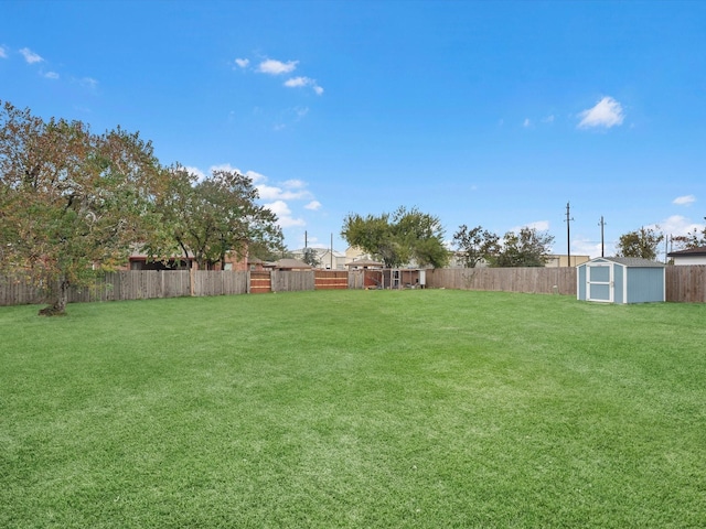 view of yard featuring a storage unit