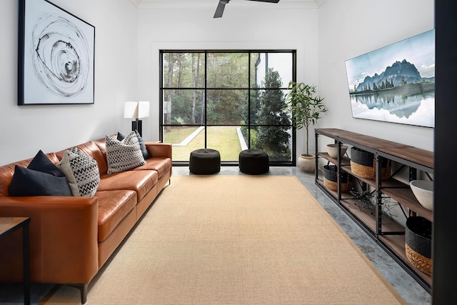 carpeted living room with ceiling fan and ornamental molding