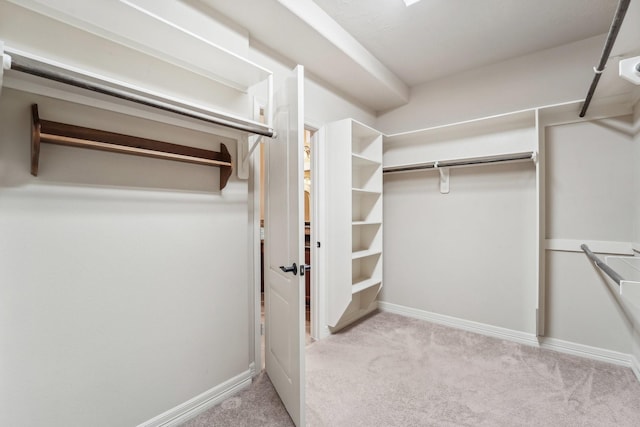 spacious closet with light colored carpet