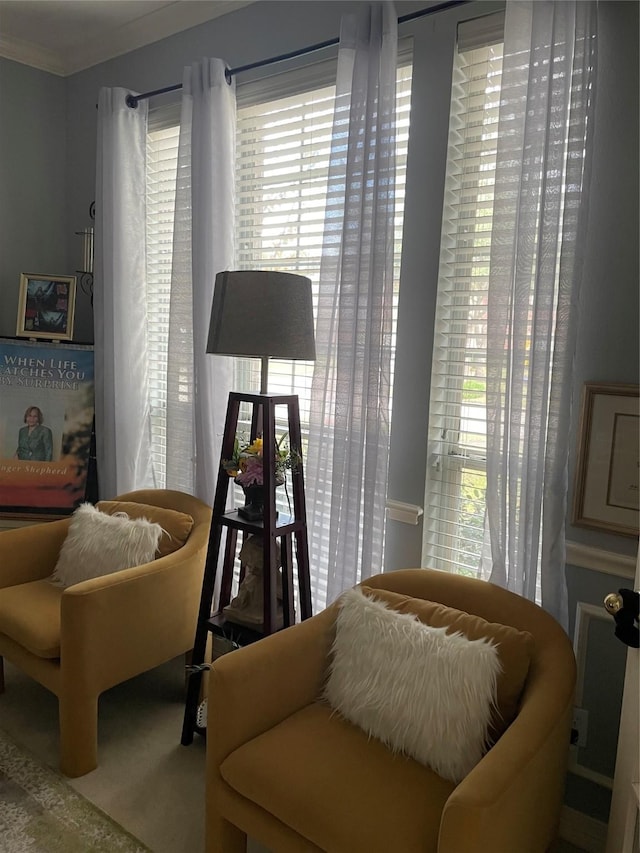 living area with carpet floors and ornamental molding