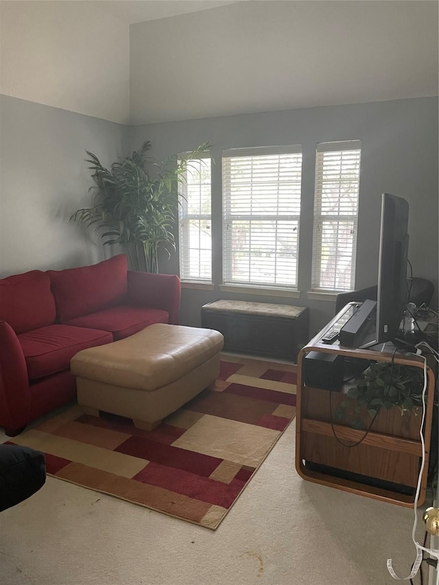 living room with carpet and plenty of natural light