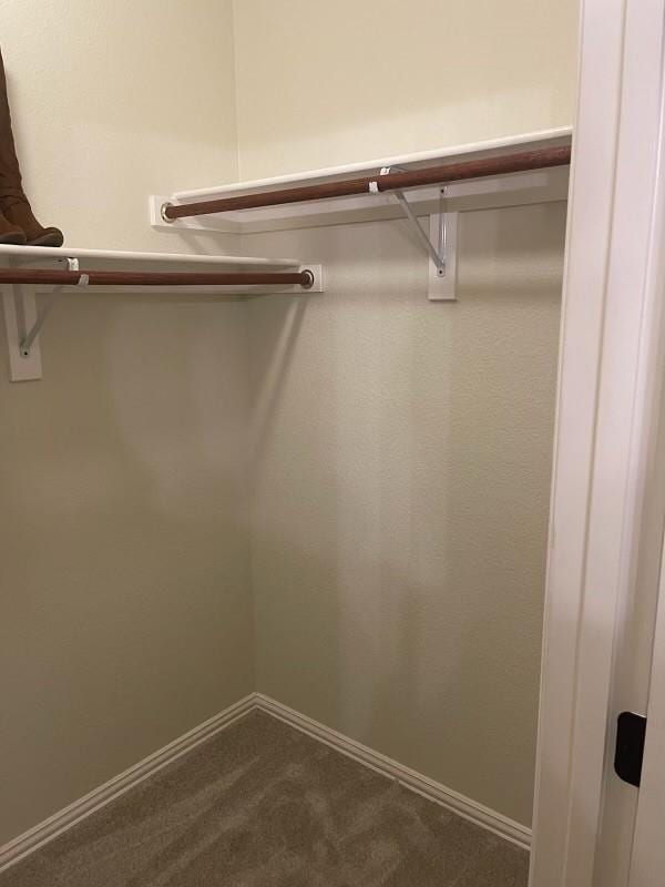 spacious closet featuring carpet flooring