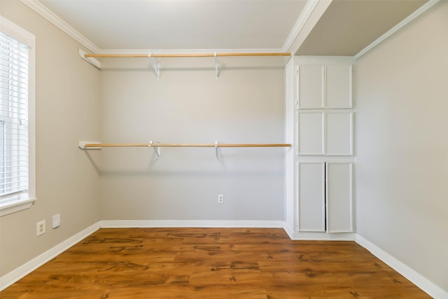 spacious closet featuring wood-type flooring