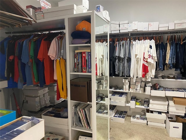 view of walk in closet