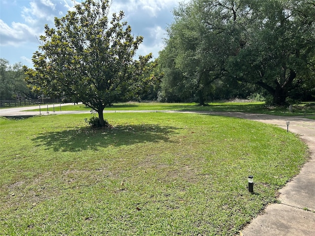 17622 Queenslake Dr, Cypress, TX 77429 - view of yard