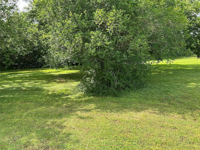 17622 Queenslake Dr, Cypress, TX 77429 - view of yard