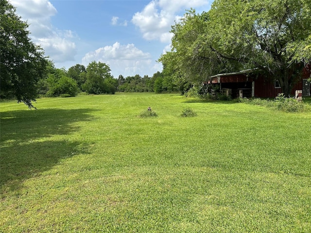 17622 Queenslake Dr, Cypress, TX 77429 - view of yard