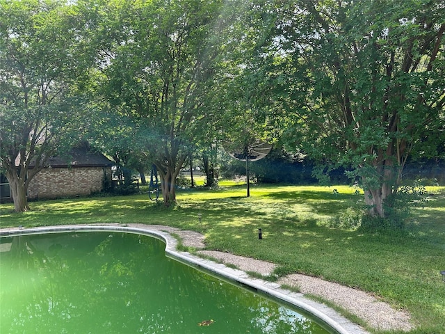 17622 Queenslake Dr, Cypress, TX 77429 - view of pool featuring a lawn