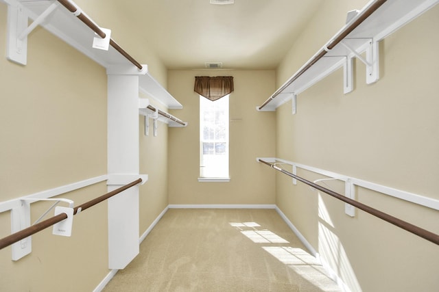 spacious closet with light colored carpet