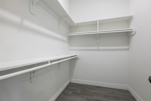 spacious closet featuring dark hardwood / wood-style floors