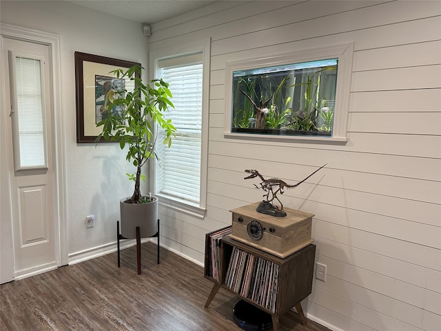 interior space featuring wood walls and dark hardwood / wood-style flooring