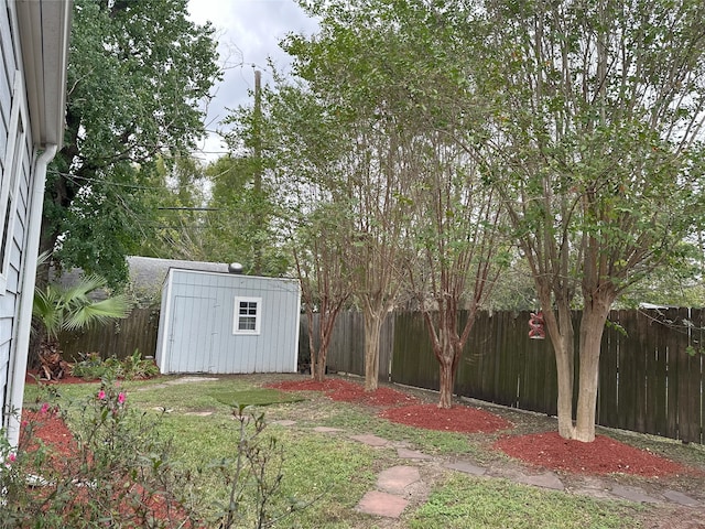 view of yard featuring a storage shed