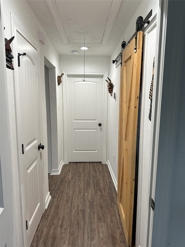 hall with dark hardwood / wood-style flooring and a barn door