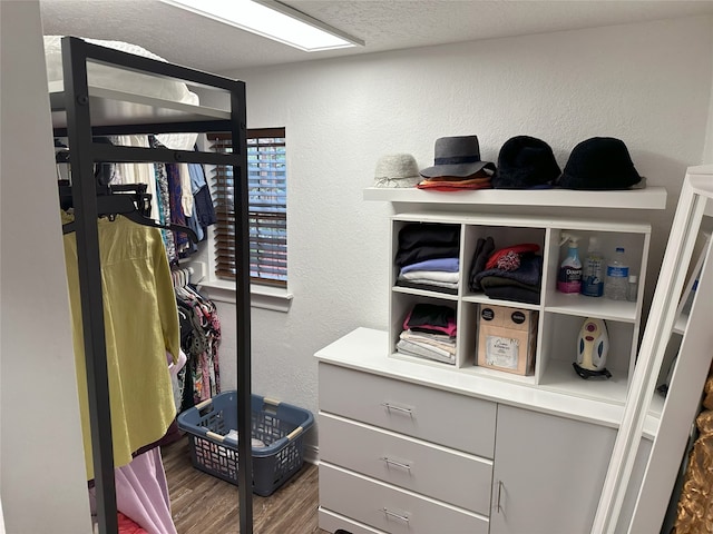 walk in closet featuring wood-type flooring