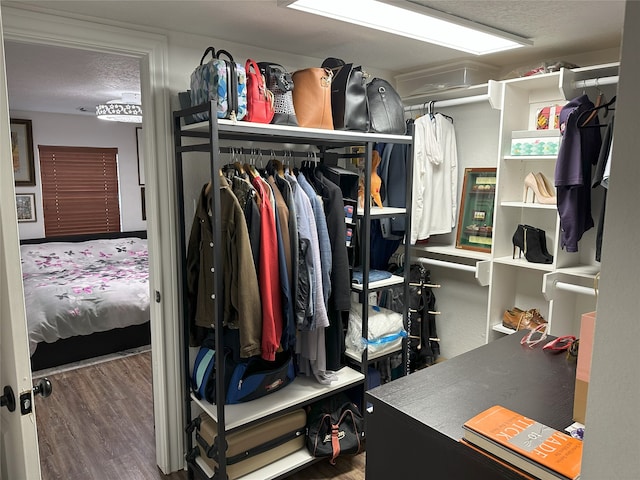 spacious closet featuring dark wood-type flooring