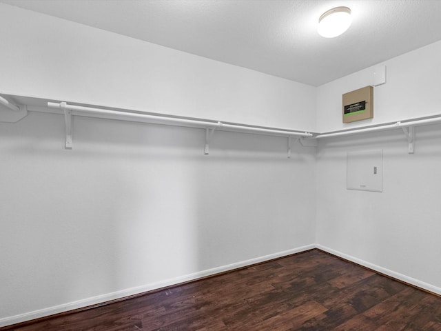 walk in closet with dark hardwood / wood-style floors