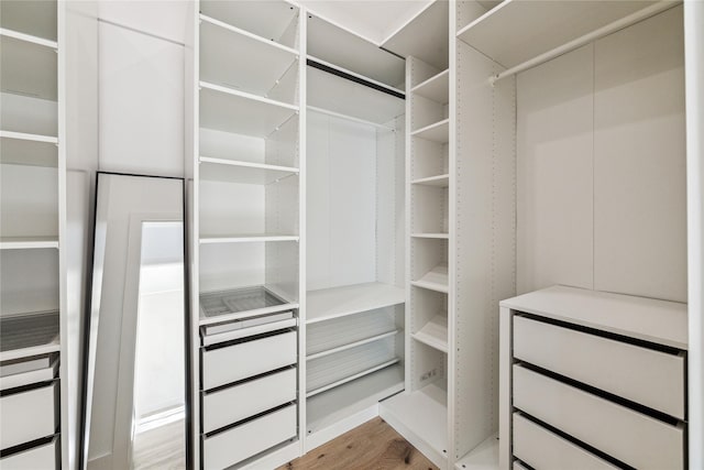 spacious closet with light hardwood / wood-style flooring